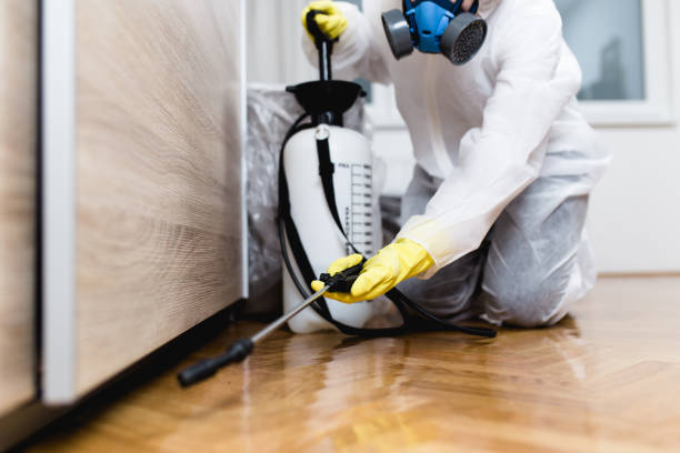 Best Flea Control Services  in Bethany, OR