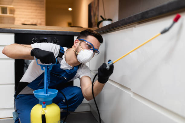 Best Insect Control  in Bethany, OR