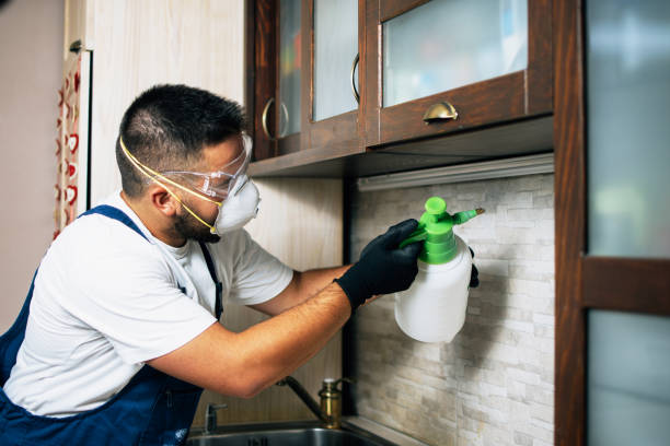 Best Commercial Pest Control Services  in Bethany, OR