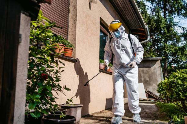 Best Termite Control Services  in Bethany, OR