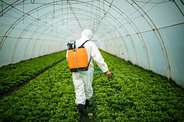 Best Residential Pest Control  in Bethany, OR