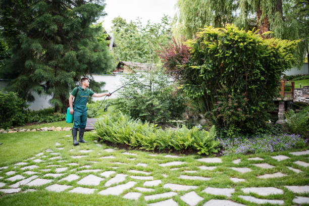 Best Pest Inspection Near Me  in Bethany, OR