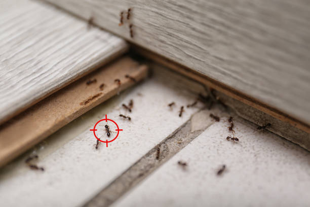 Pest Control Cost in Bethany, OR