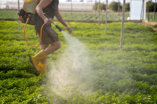 Insect Control in Bethany, OR