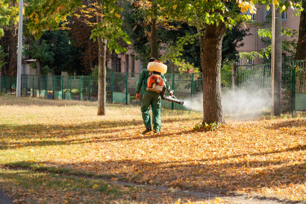 Best Local Pest Control Services  in Bethany, OR