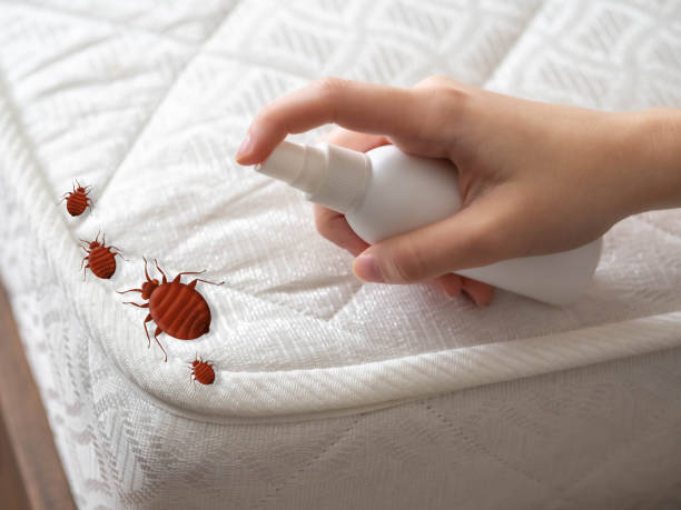 Flea Control Services in Bethany, OR