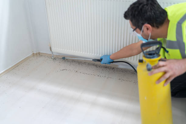 Best Pest Prevention Services  in Bethany, OR